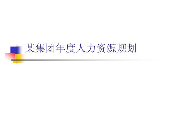 IT人力资源规划实例