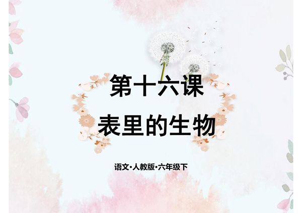 2020部编版六年级下册语文课件16表里的生物 ，同课异构4套