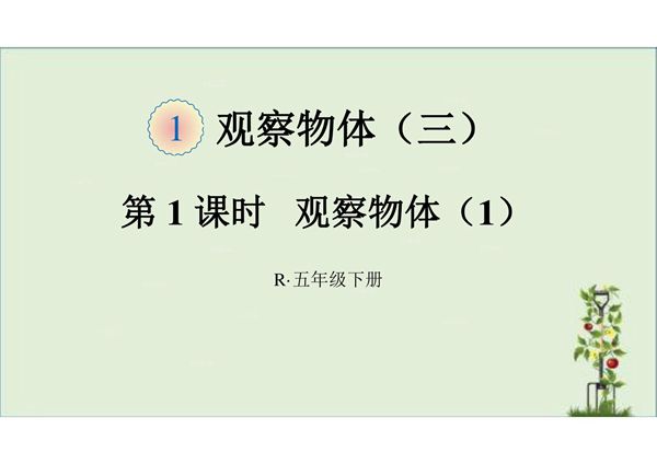 最新部编版人教版五年级数学下册全册课件ppt