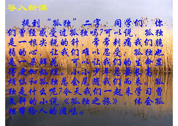 九年级语文-孤独之旅PPT教学课件1