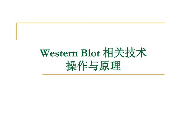 Western Blot 相关技术操作与原理