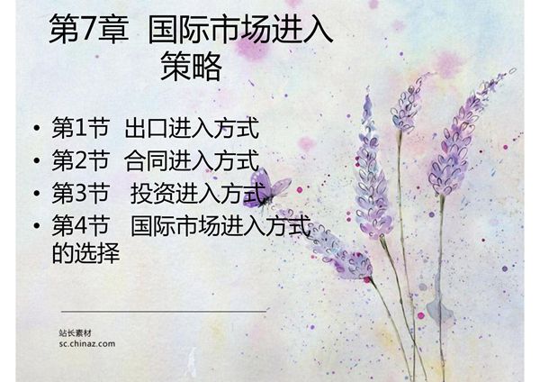 7 国际市场进入策略