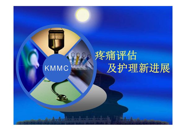 疼痛的评估及护理新进展 - 最新-PPT(精)