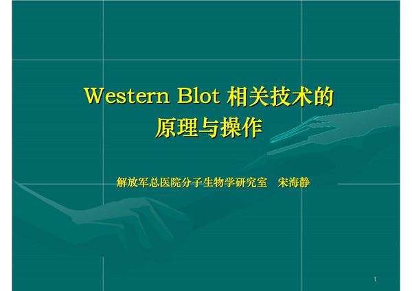 western blot相关技术的操作与原理