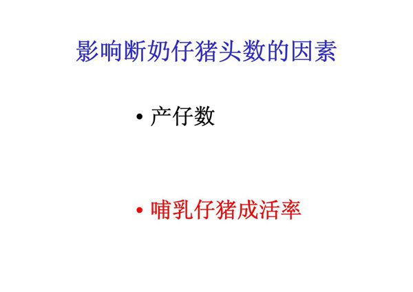 (精品)影响断奶仔猪头数的因素