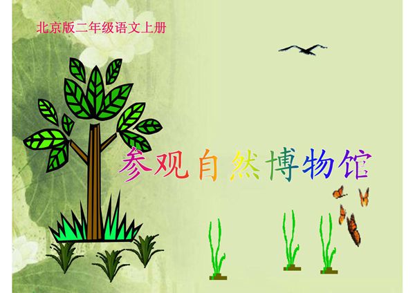 7《参观自然博物馆》-课件(PPT演示)