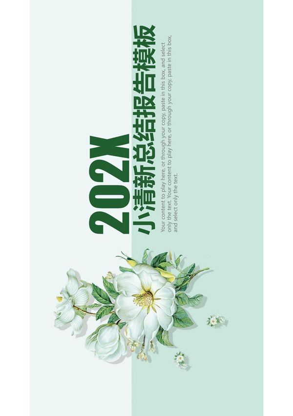 工作汇报总结PPT模板 (46)