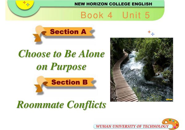 新视野大学英语Book4-5课件Choose to Be Alone on Purpose