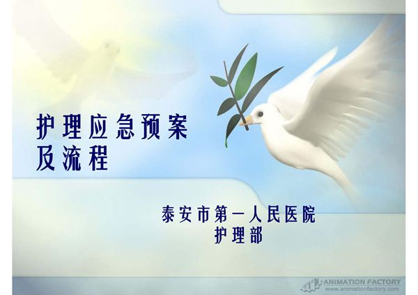 护理应急预案及流程