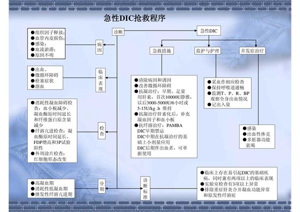 常见急救抢救预案