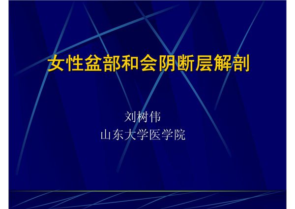 12 女性盆部和会阴断层解剖 《断层解剖学》高教版课件