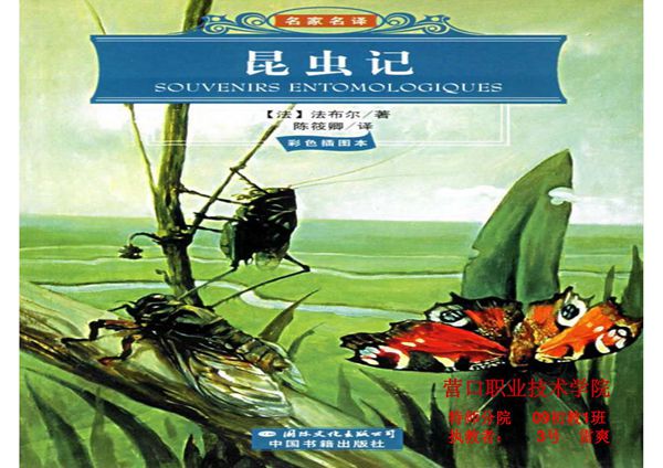 昆虫记课件