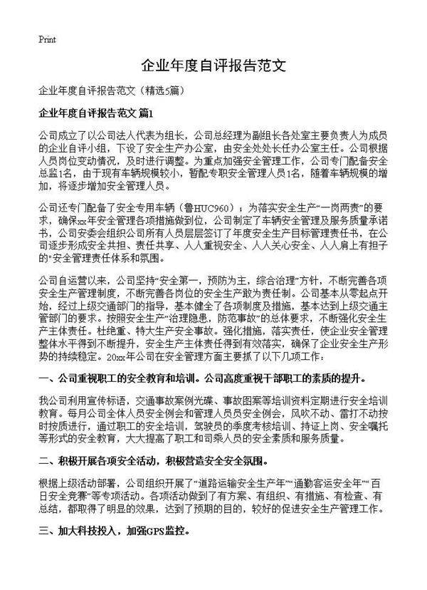 企业年度自评报告范文5篇