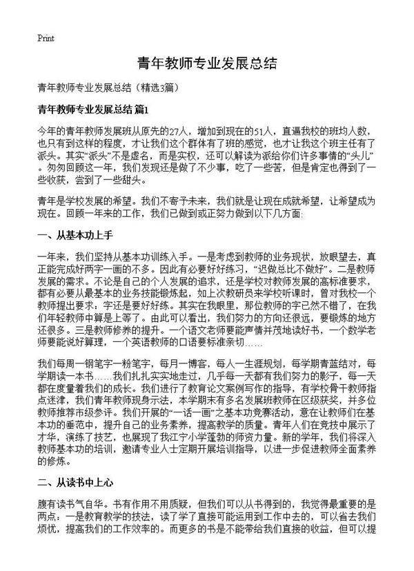 青年教师专业发展总结3篇