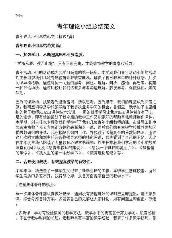 青年理论小组总结范文3篇