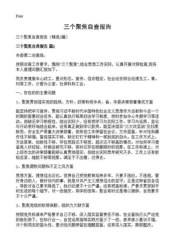 三个聚焦自查报告3篇