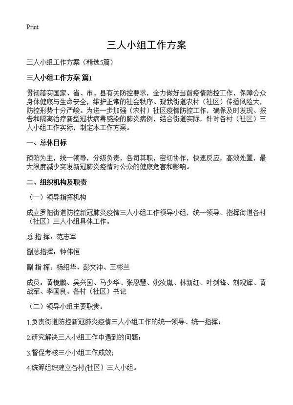 三人小组工作方案5篇