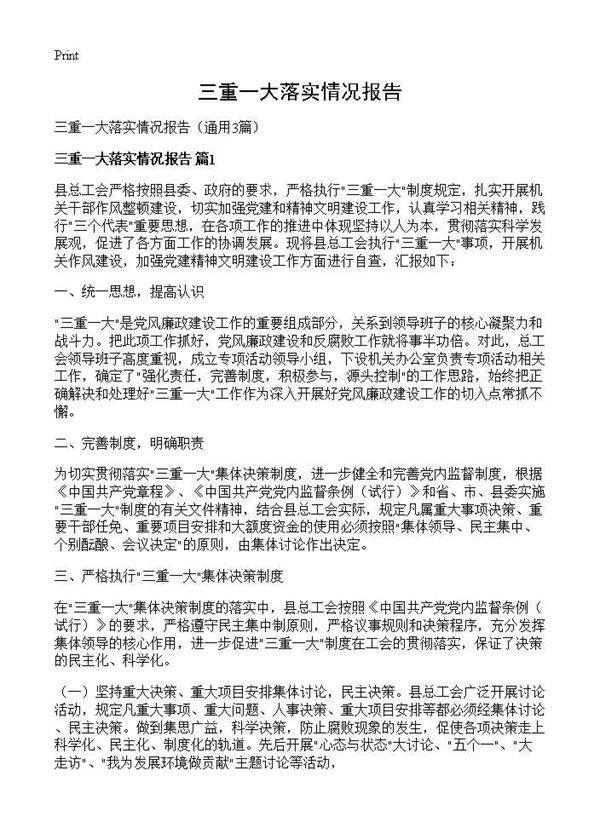 三重一大落实情况报告3篇