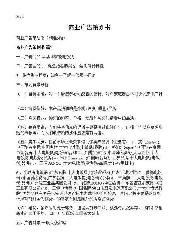 商业广告策划书5篇