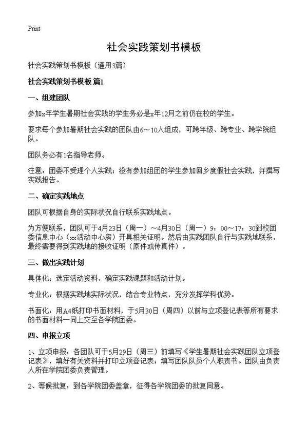 社会实践策划书模板3篇