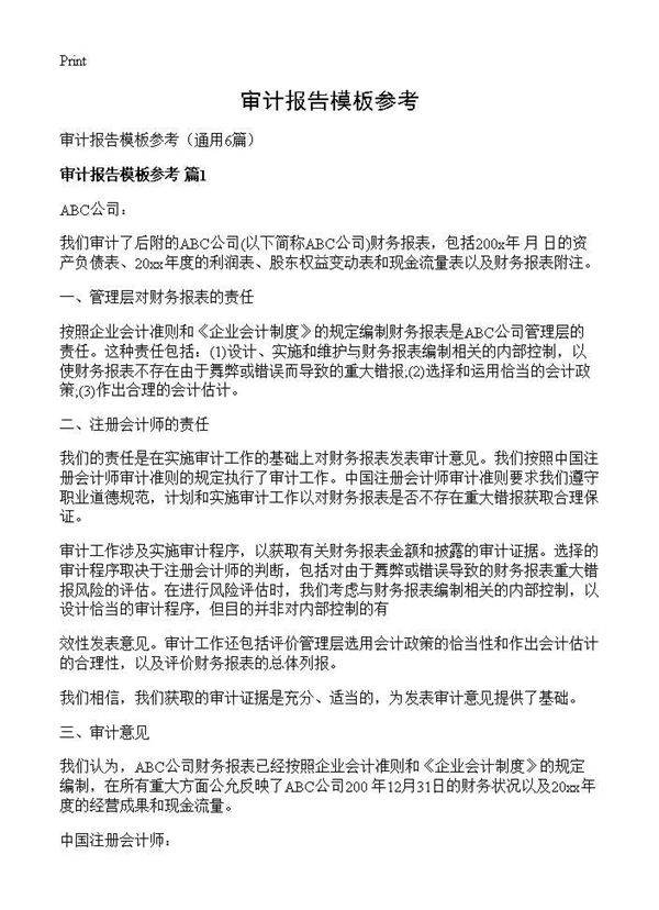 审计报告模板参考6篇