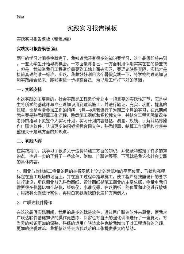 实践实习报告模板3篇