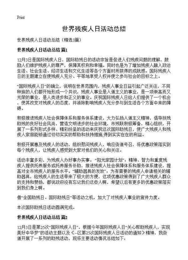 世界残疾人日活动总结3篇