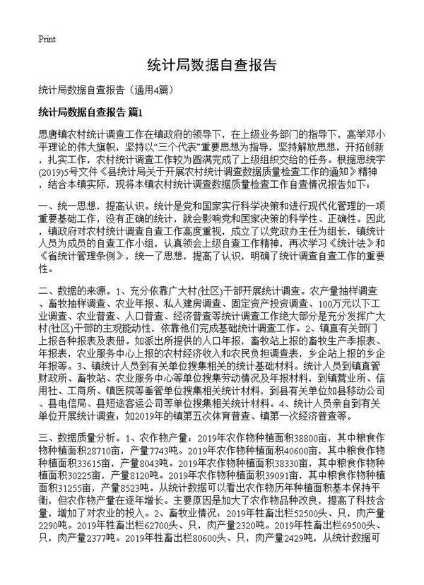 统计局数据自查报告4篇