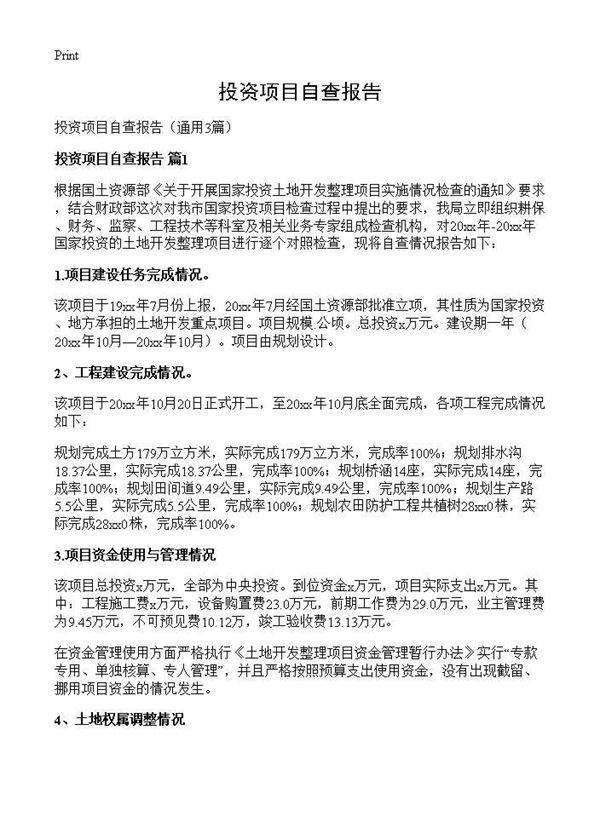 投资项目自查报告3篇