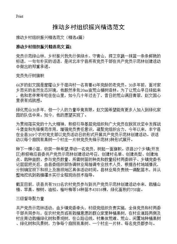 推动乡村组织振兴精选范文4篇