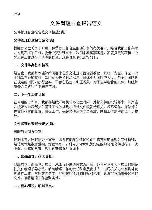 文件管理自查报告范文5篇