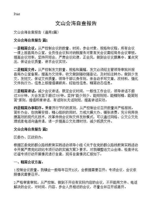 文山会海自查报告8篇