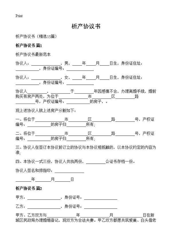 析产协议书15篇