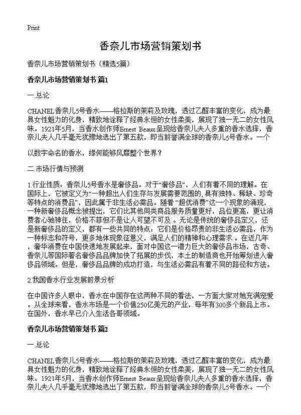 香奈儿市场营销策划书5篇