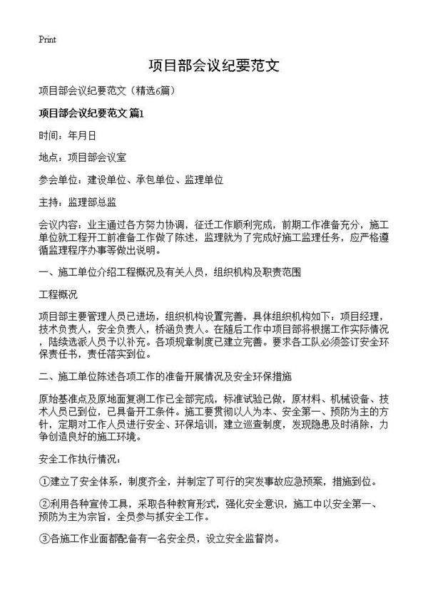 项目部会议纪要范文6篇