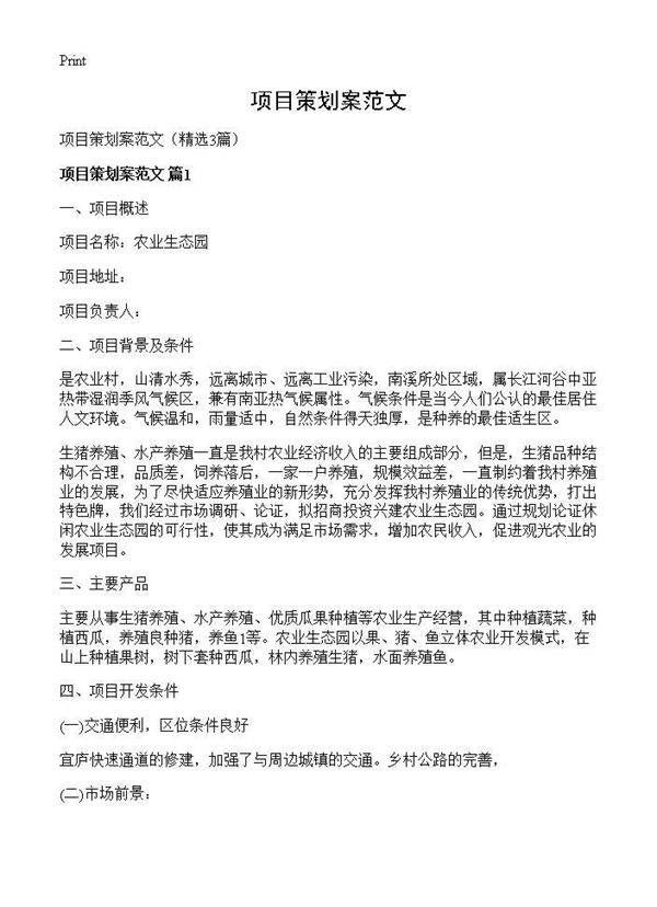 项目策划案范文3篇