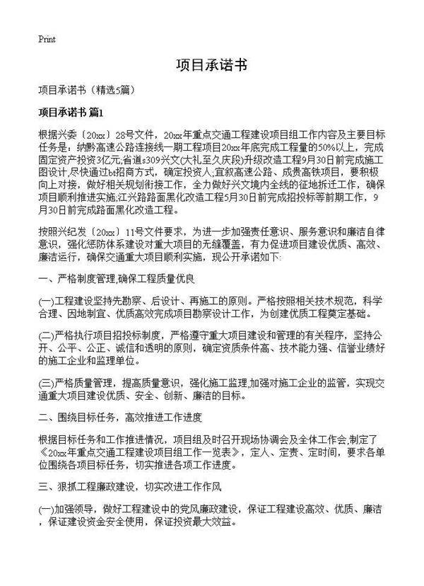 项目承诺书5篇