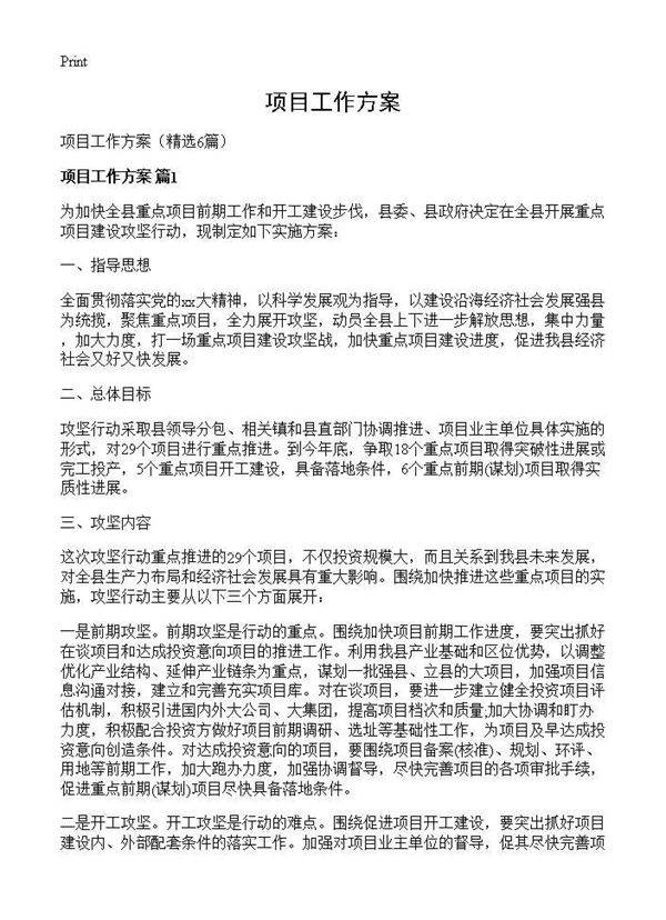 项目工作方案6篇