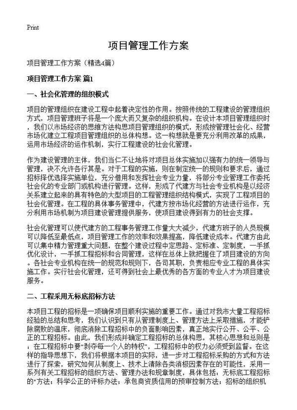 项目管理工作方案4篇