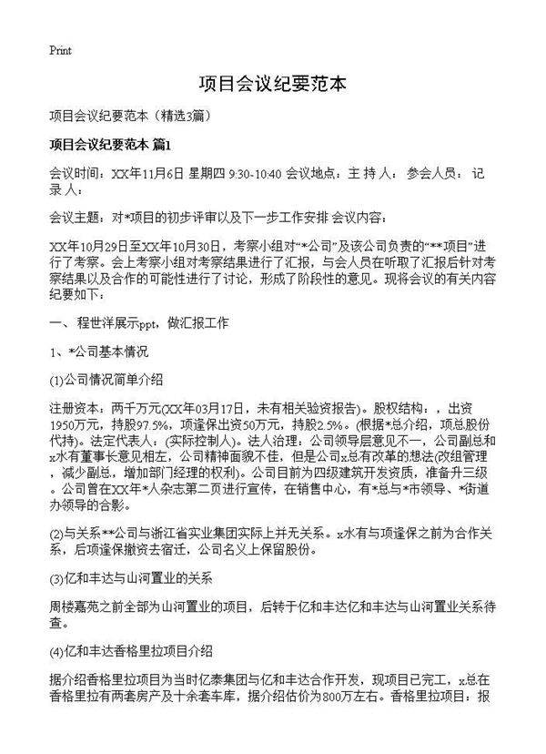 项目会议纪要范本3篇