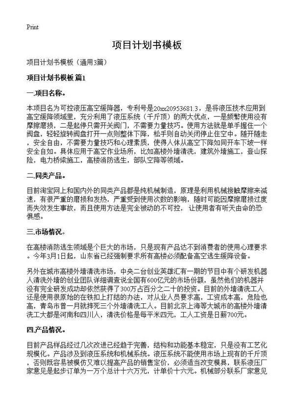 项目计划书模板3篇