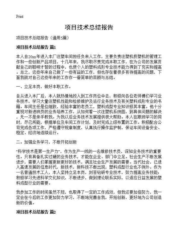 项目技术总结报告5篇