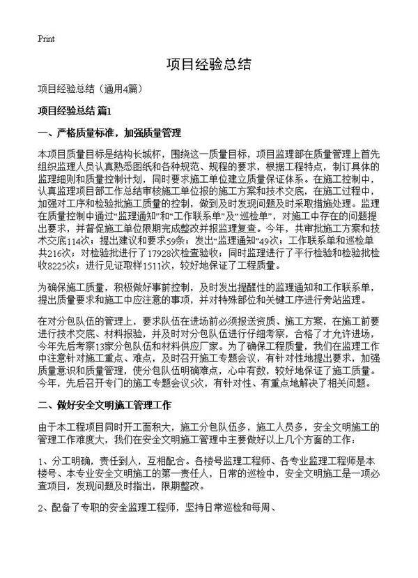 项目经验总结4篇