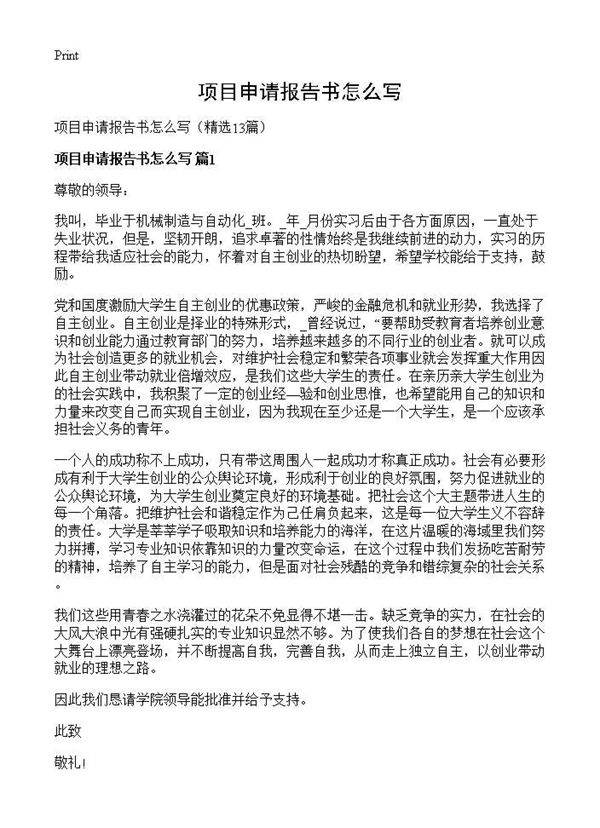 项目申请报告书怎么写13篇