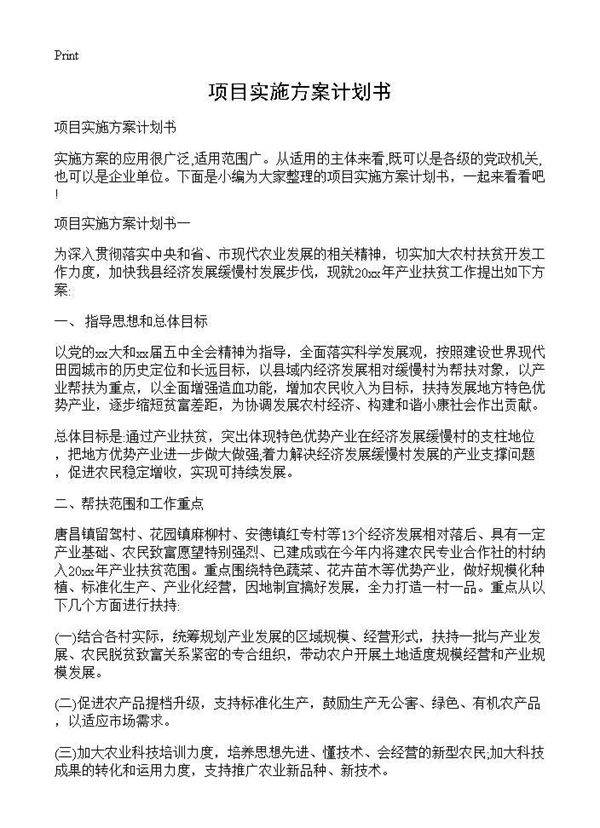 项目实施方案计划书