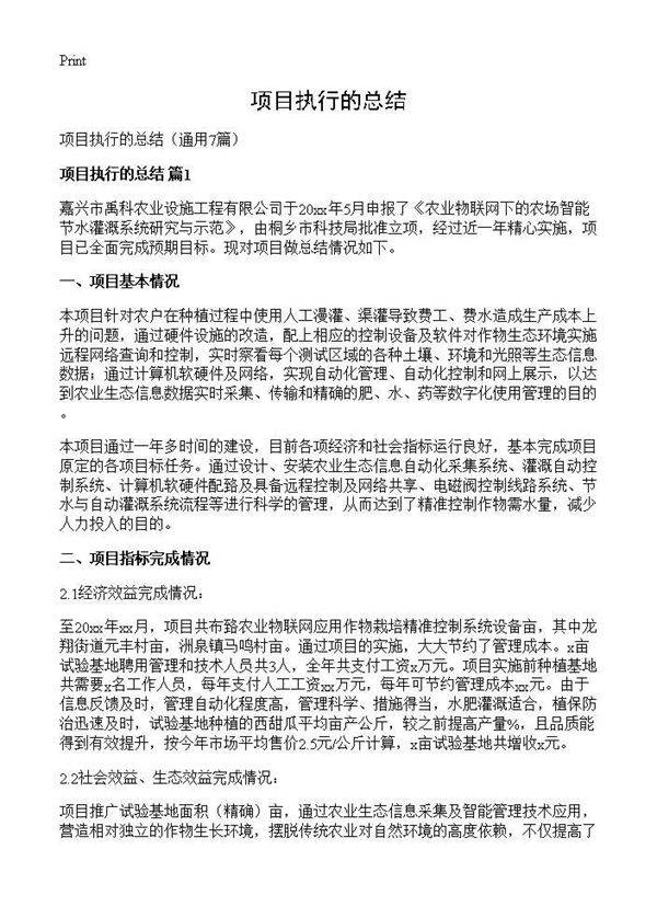 项目执行的总结7篇