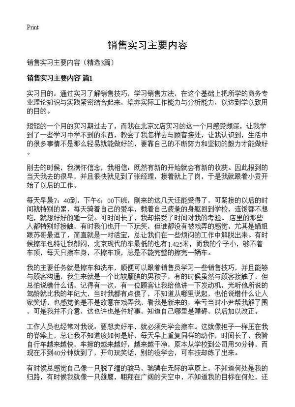 销售实习主要内容3篇