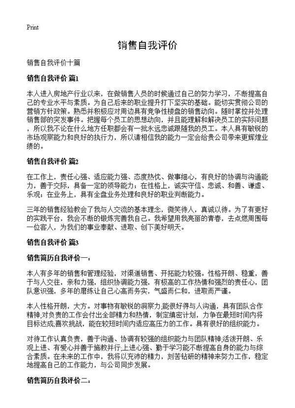 销售自我评价