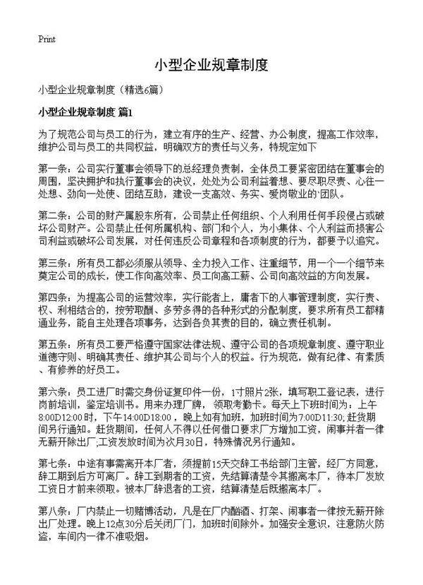 小型企业规章制度6篇
