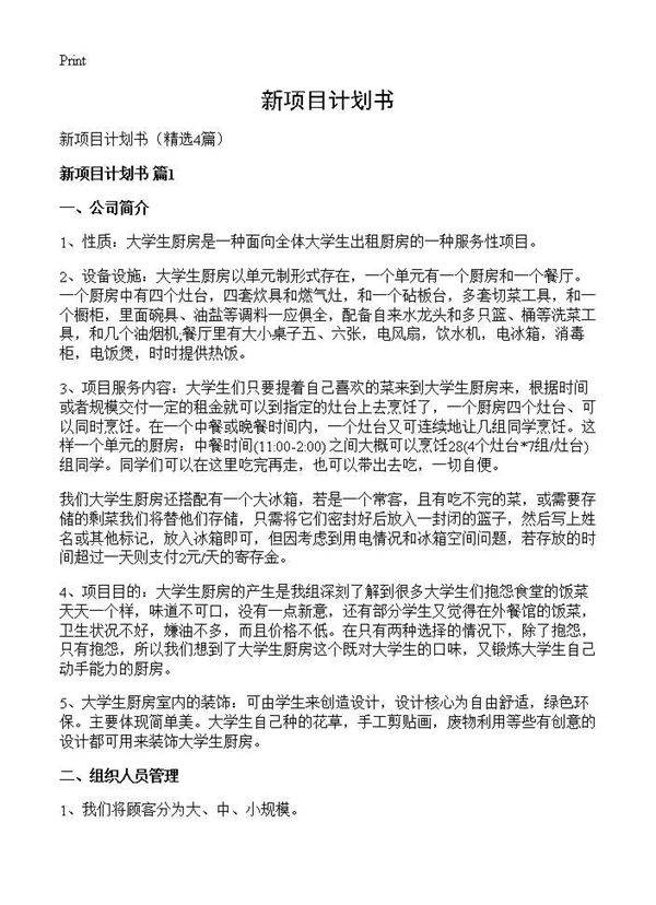 新项目计划书4篇